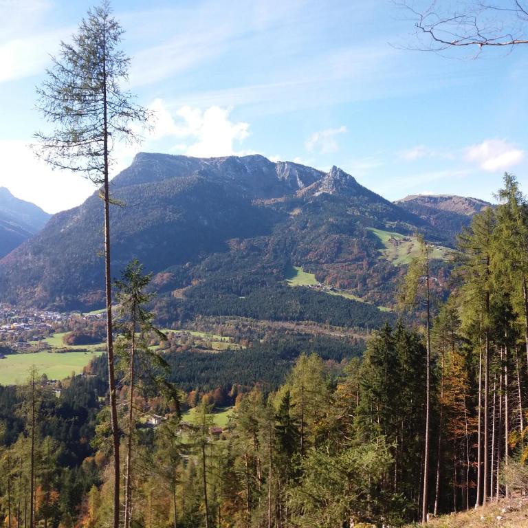 Das Prinzis - Chalet - 29