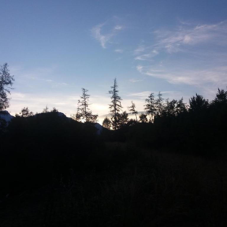 Das Prinzis - Chalet - 27