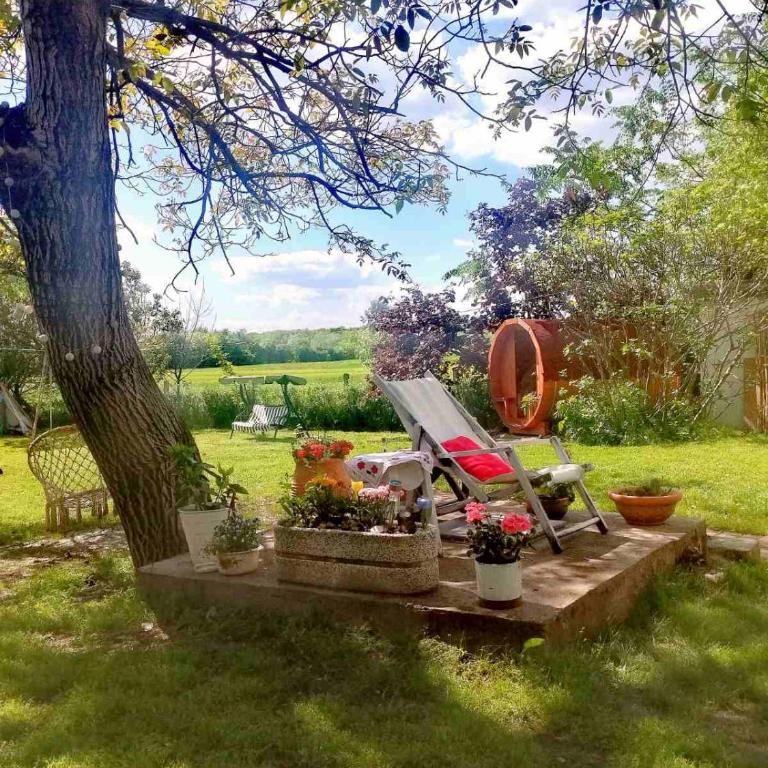 Etno wellness Bobita - One-Bedroom House - 20