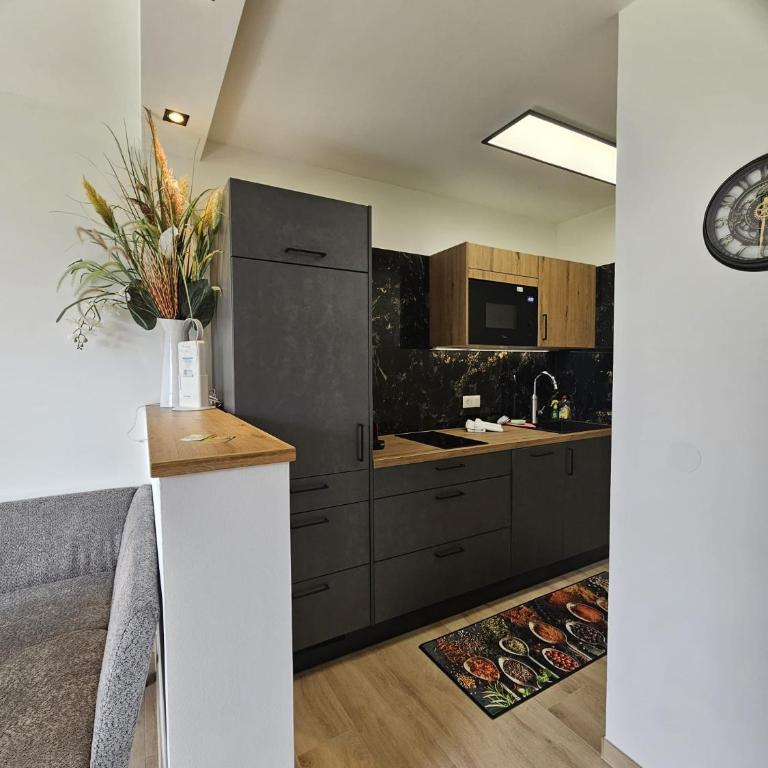 Bergpanorama zum Grimming Appartement Ferienwohnung Pichlarn - Apartamento de 1 dormitorio - 8