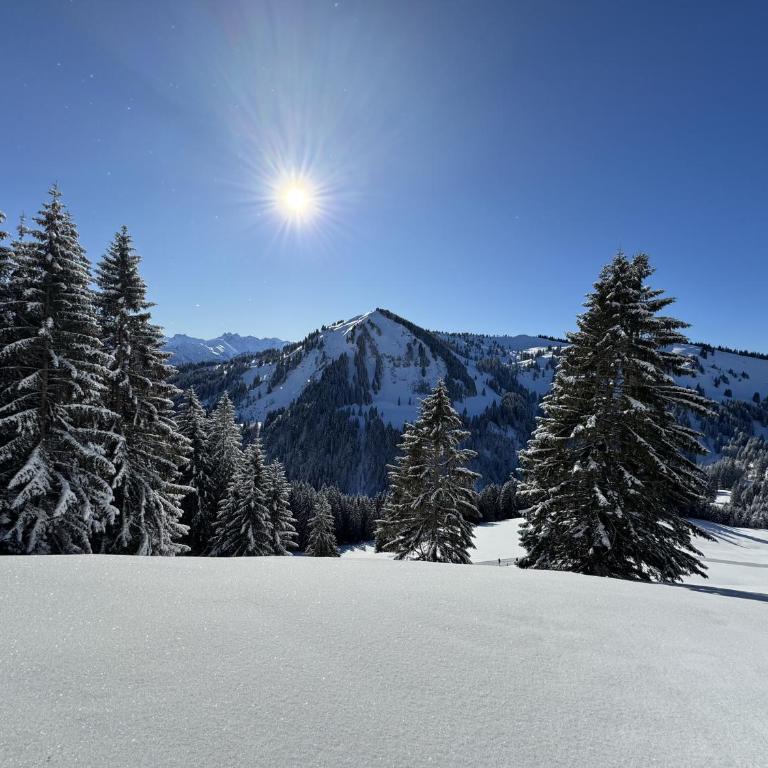 Panoramablick mit Balkon, große Sauna, Alpenjuwel 2 Oberstdorf - Apartment mit 1 Schlafzimmer - 28