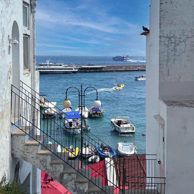 Casa Maresca - Isola di Capri Casa vacanze al mare - Appartamento con 1 Camera da Letto - 1