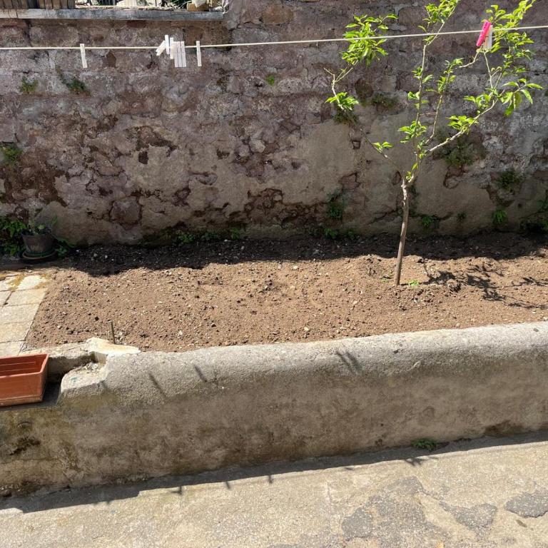 Casa Valle dei Casali near St Peters Basilica - Appartamento con 1 Camera da Letto - 35