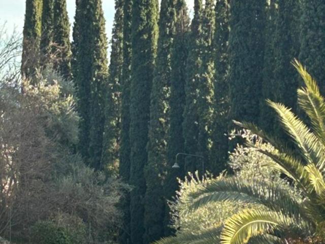 La Verbena a fianco del Vittoriale, vista piscina, 10 minuti a piedi dal lungo lago - Appartamento con 1 Camera da Letto - 38