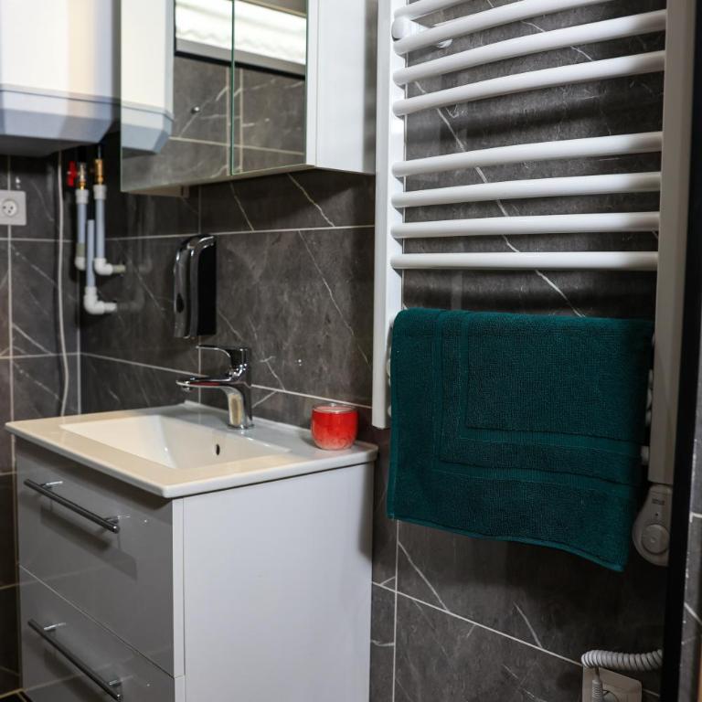 Villa Bellevue Genève - Appartement 1 Chambre - 4