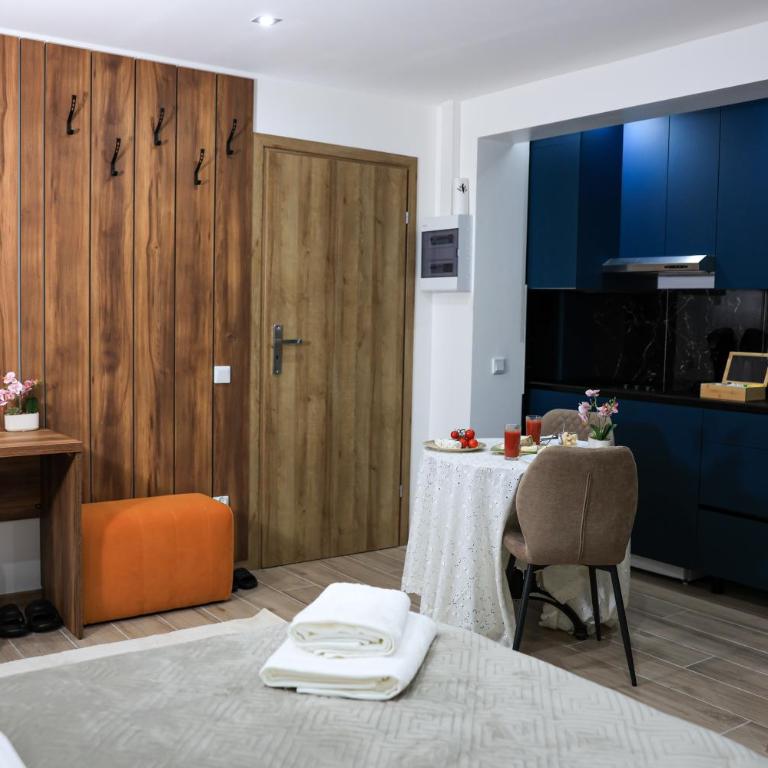 Villa Bellevue Genève - Studio - 8