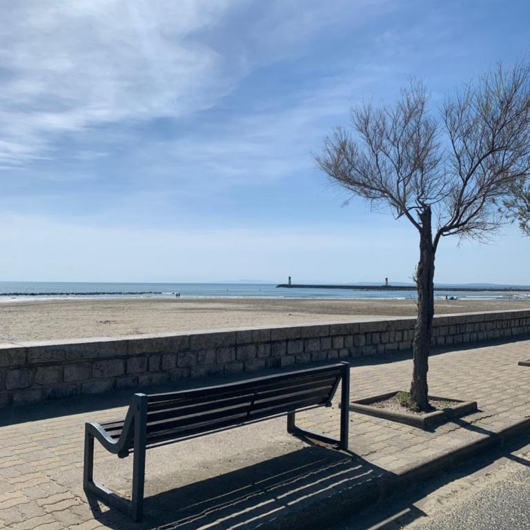 La goélette T2 vue mer - Apartment mit 1 Schlafzimmer - 10