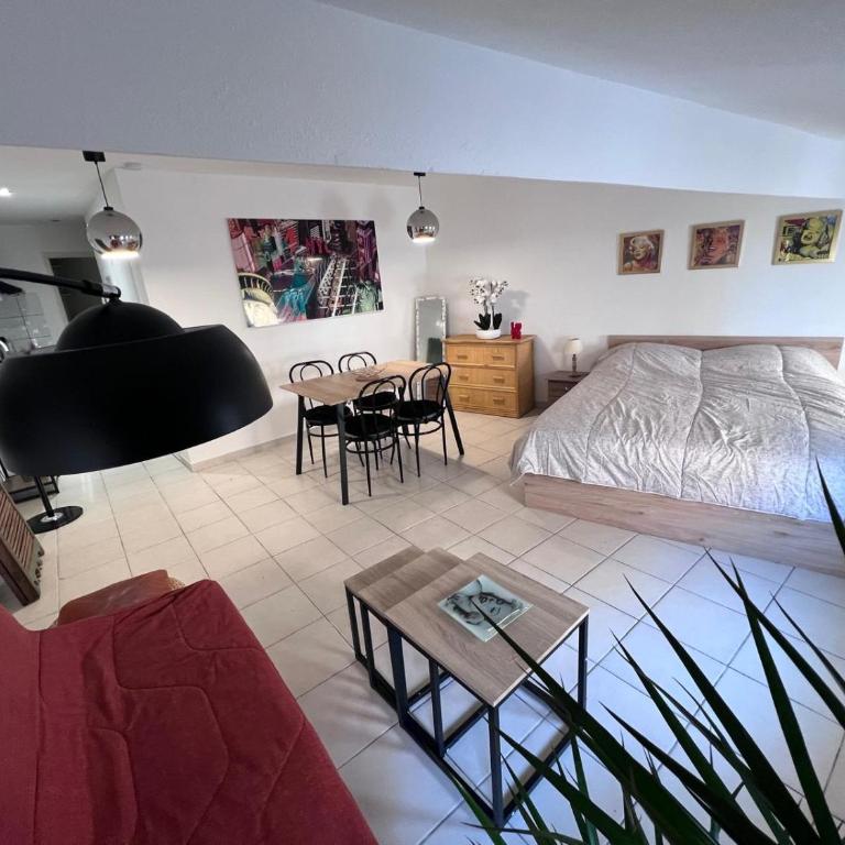 Grands studios standing centre historique Narbonne - Appartement 1 Chambre - 5