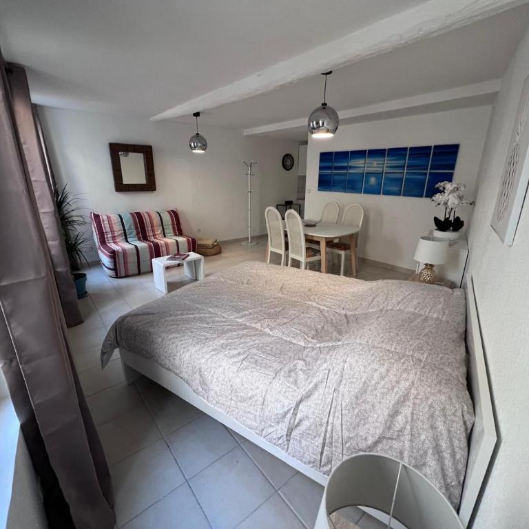 Grands studios standing centre historique Narbonne - Appartement 1 Chambre - 6