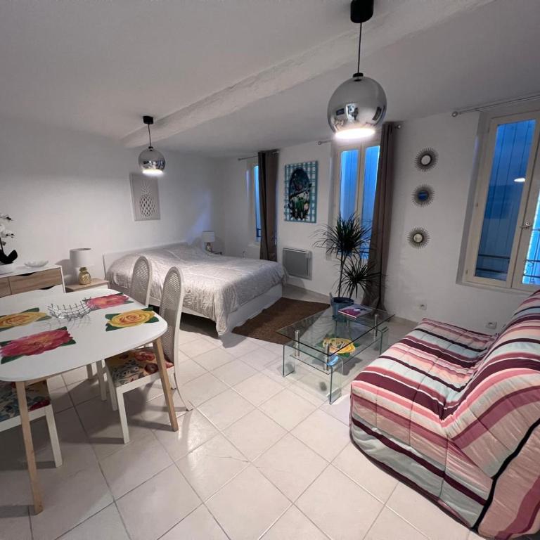 Grands studios standing centre historique Narbonne - Appartement 1 Chambre - 5