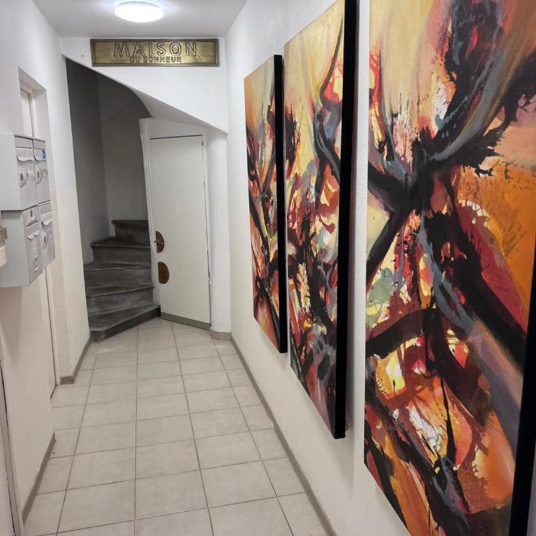 Grands studios standing centre historique Narbonne - Appartement 1 Chambre - 2