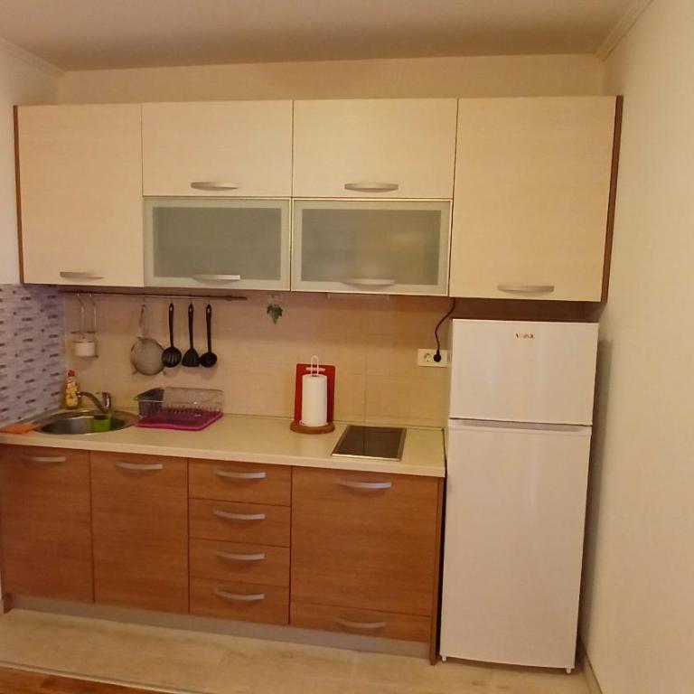 Apartments Viktoria - Apartman sa 1 Spavaćom Sobom - 10