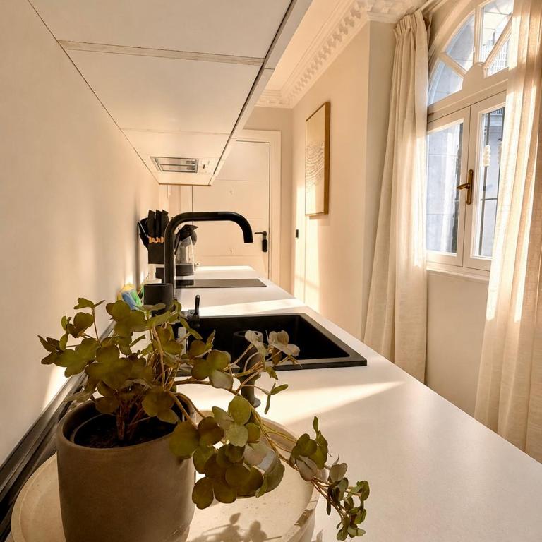Postas Suites - Apartamento Deluxe de 1 dormitorio con vistas al jardín - 2