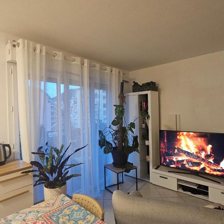 Charming apartment - Appartement 2 Chambres - 10