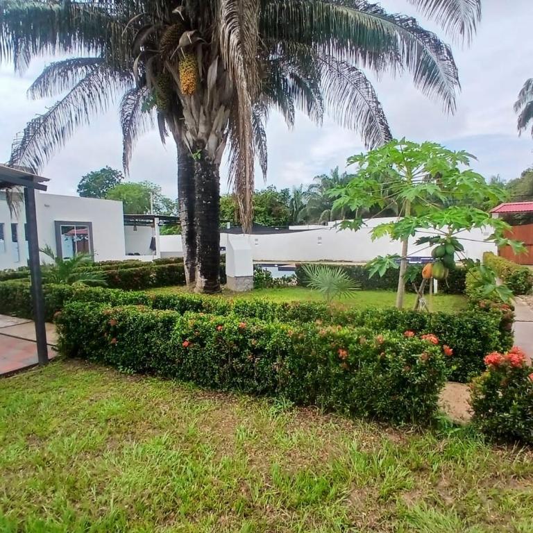 Villa Ligia - Villa de 1 dormitorio - 9