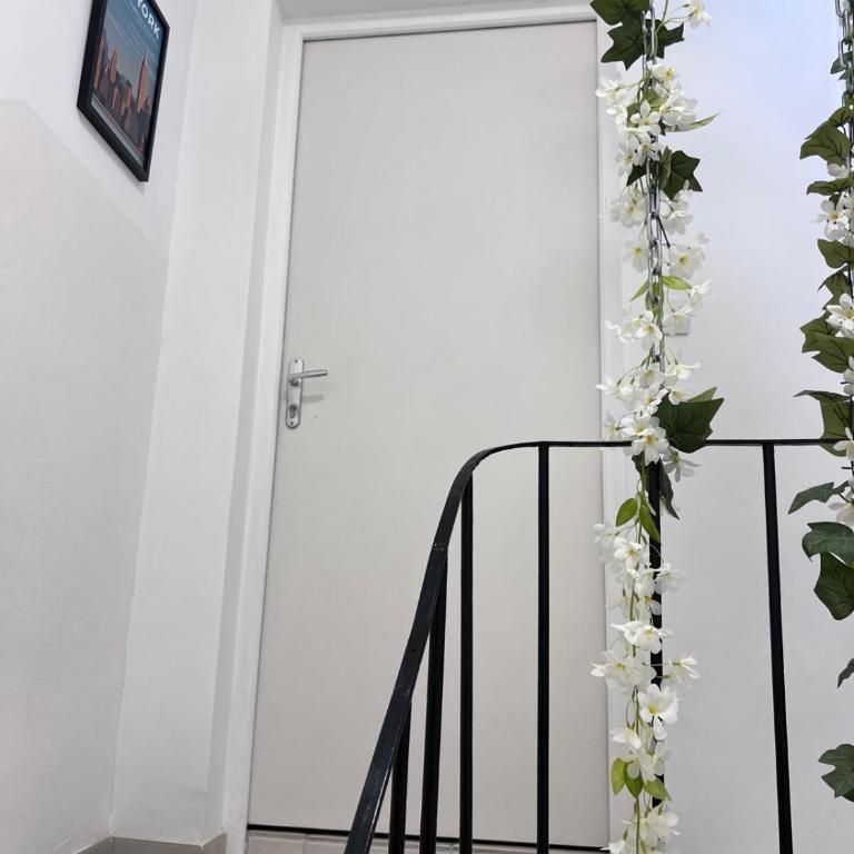 Grands studios standing centre historique Narbonne - Appartement 1 Chambre - 3