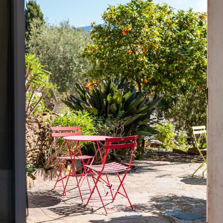Hôtel Paradis - Chambre Double avec Terrasse - 4