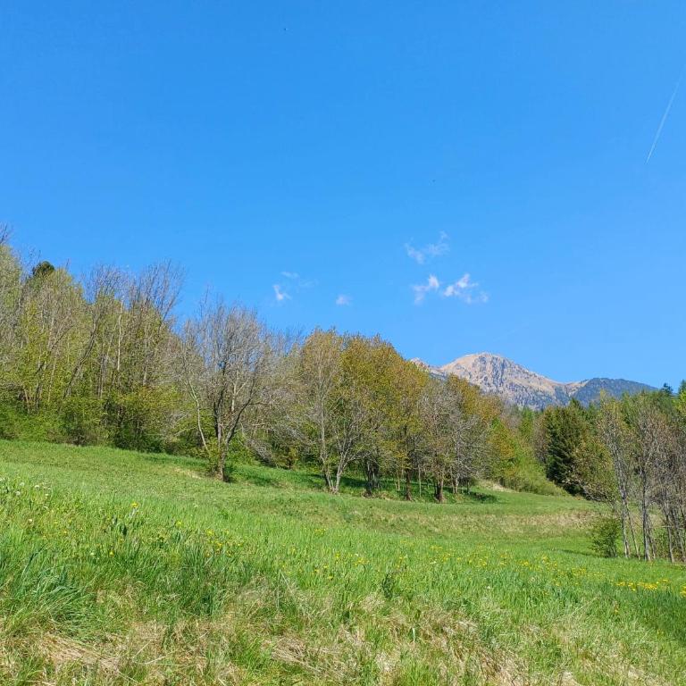Appartamento La Cantinotta - Apartamento de 1 dormitorio - 17