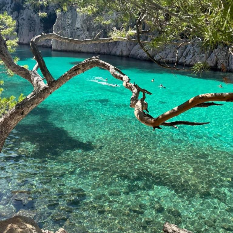 Cassis et ses merveilleuses Calanques - Appartamento - 50