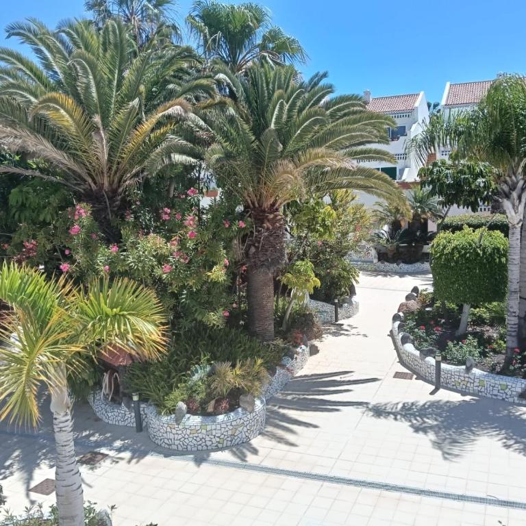 Parque Don Jose Casa Palmera - Apartamento de 1 dormitorio - 12