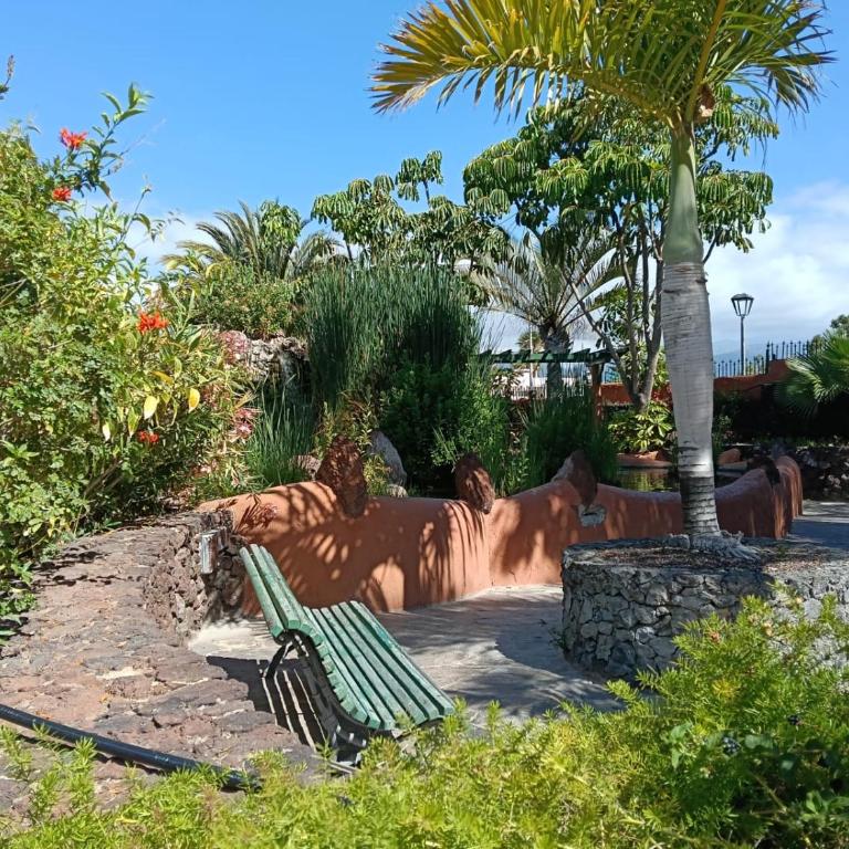 Parque Don Jose Casa Palmera - Apartamento de 1 dormitorio - 11