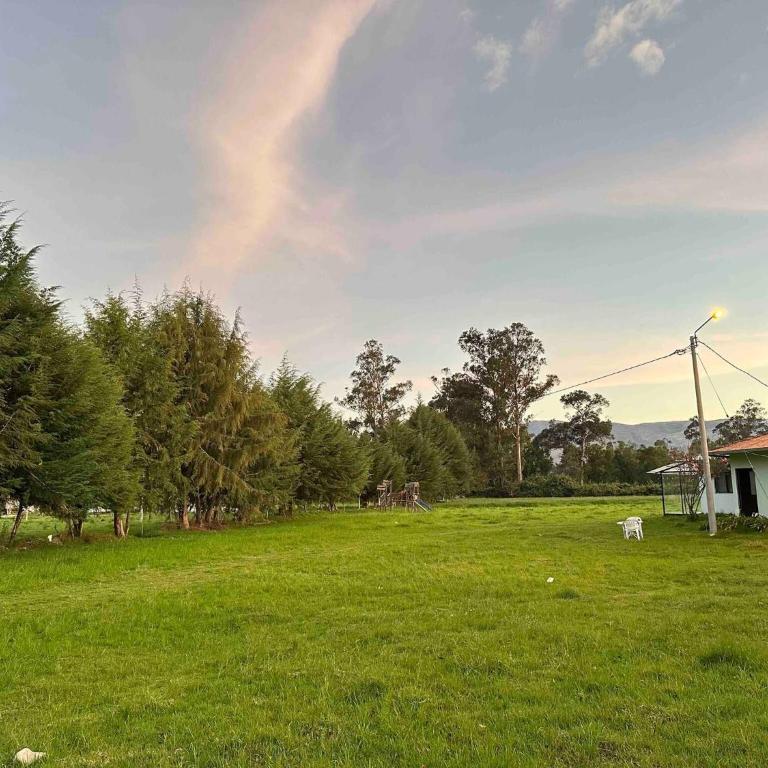 MERs house enjoys nature - Bungalow - 19