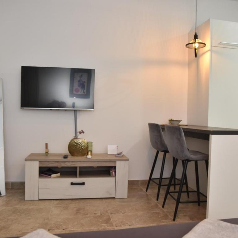 Studio u srcu Banja Koviljaca - Apartman sa 1 Spavaćom Sobom - 2