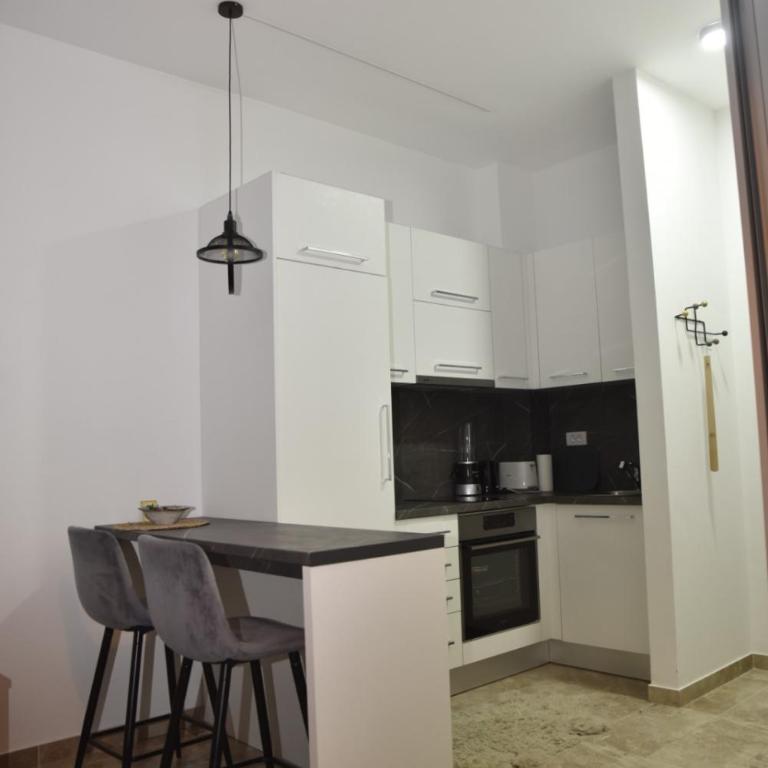 Studio u srcu Banja Koviljaca - Apartman sa 1 Spavaćom Sobom - 7