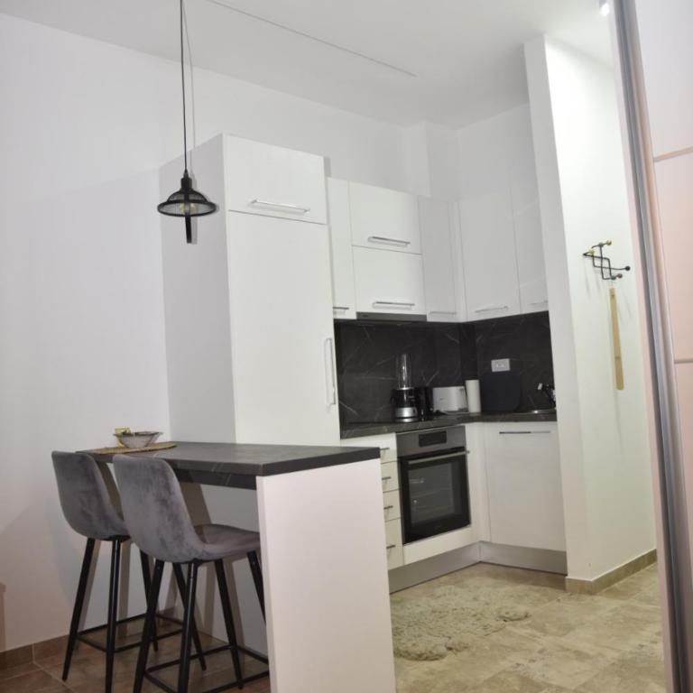 Studio u srcu Banja Koviljaca - Apartman sa 1 Spavaćom Sobom - 12