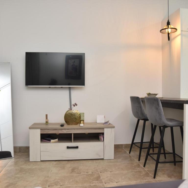 Studio u srcu Banja Koviljaca - Apartman sa 1 Spavaćom Sobom - 13