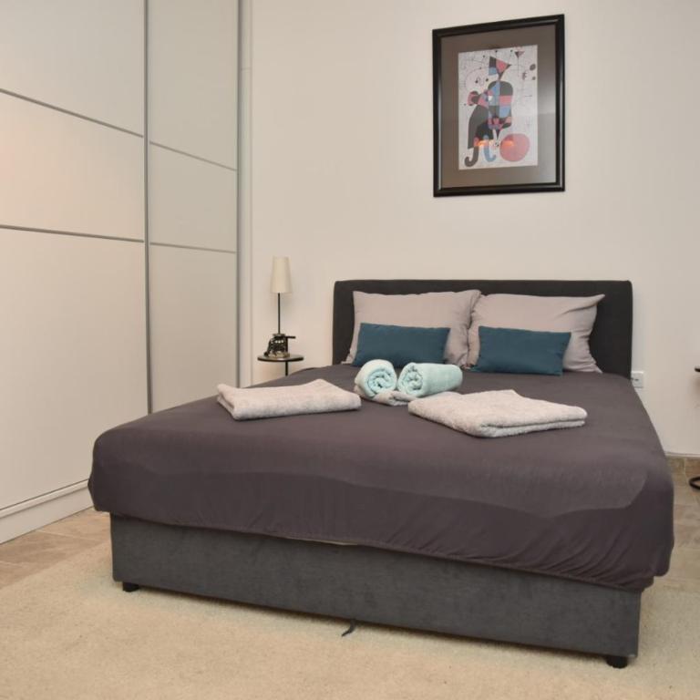 Studio u srcu Banja Koviljaca - Apartman sa 1 Spavaćom Sobom - 14