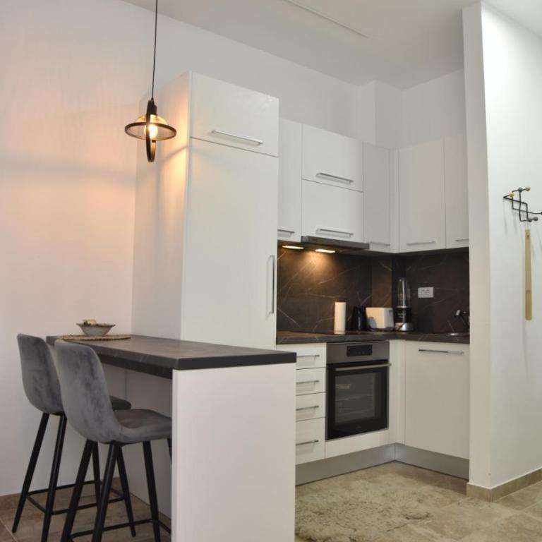 Studio u srcu Banja Koviljaca - Apartman sa 1 Spavaćom Sobom - 15