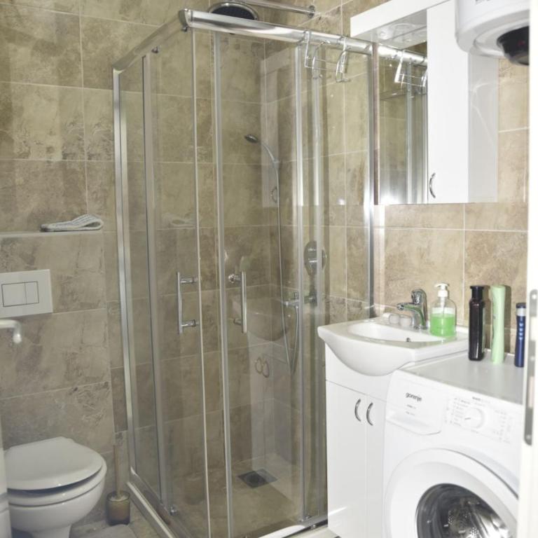 Studio u srcu Banja Koviljaca - Apartman sa 1 Spavaćom Sobom - 16