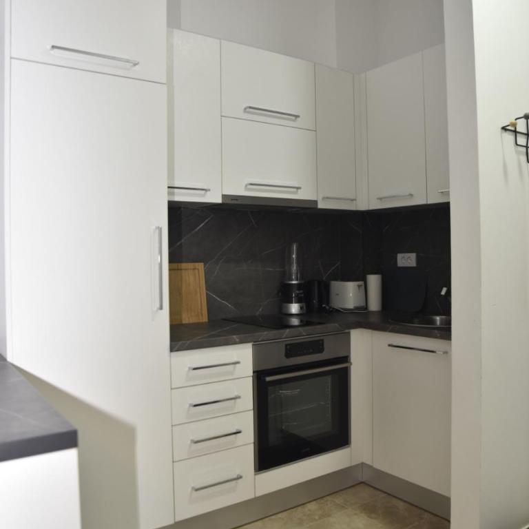 Studio u srcu Banja Koviljaca - Apartman sa 1 Spavaćom Sobom - 17
