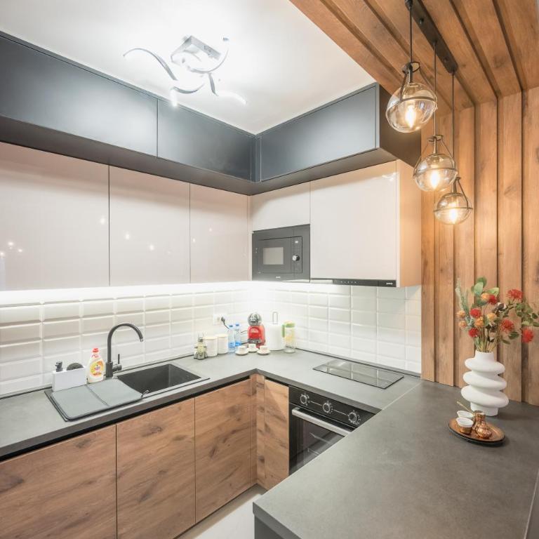 President Lux Apartment Centar - Apartman sa 1 Spavaćom Sobom - 15