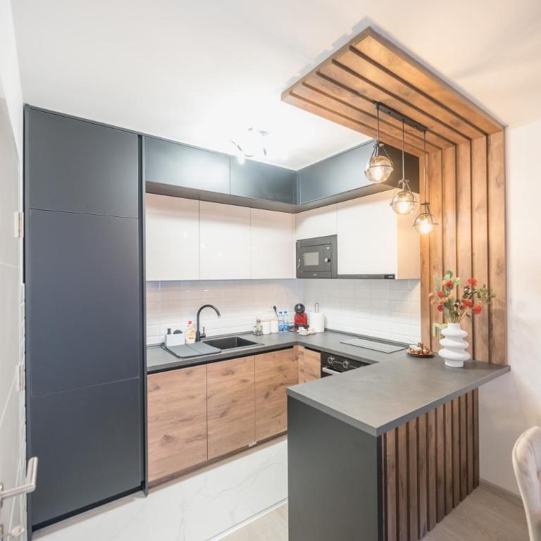 President Lux Apartment Centar - Apartman sa 1 Spavaćom Sobom - 28