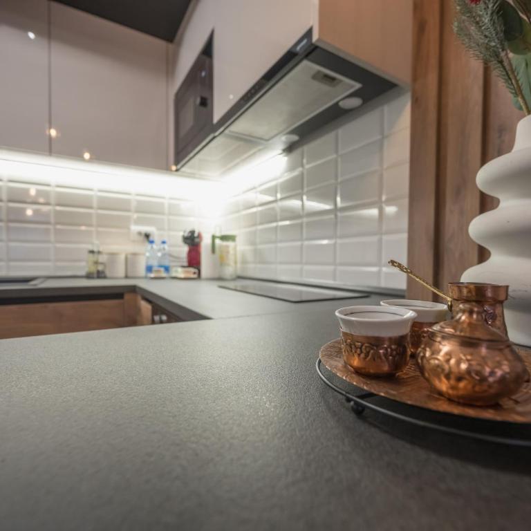 President Lux Apartment Centar - Apartman sa 1 Spavaćom Sobom - 30