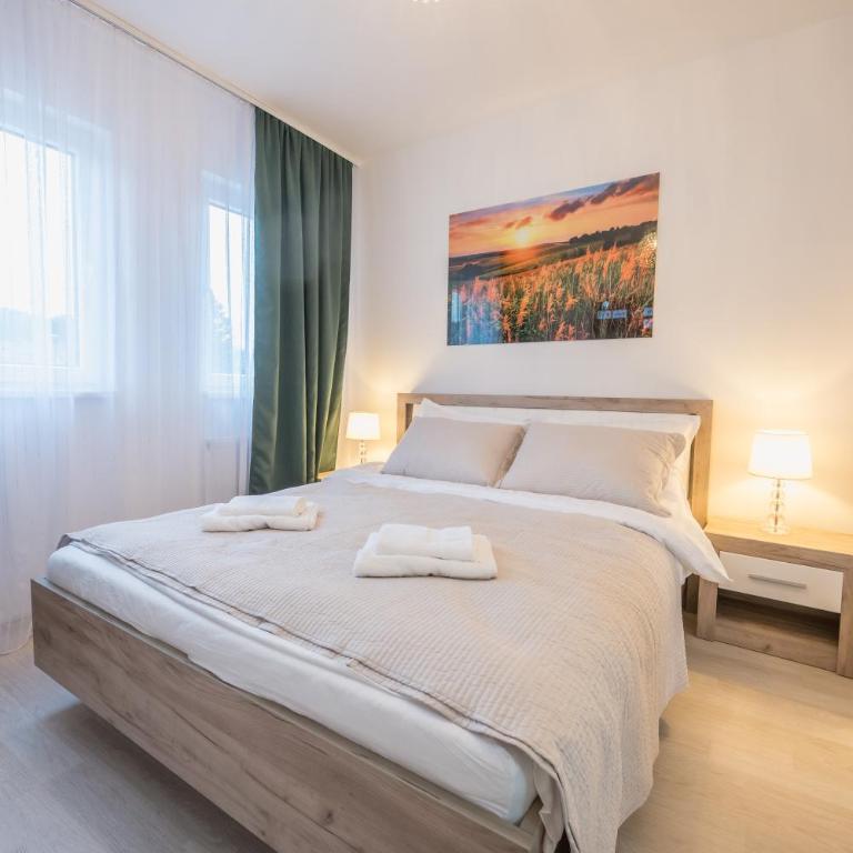 President Lux Apartment Centar - Apartman sa 1 Spavaćom Sobom - 41