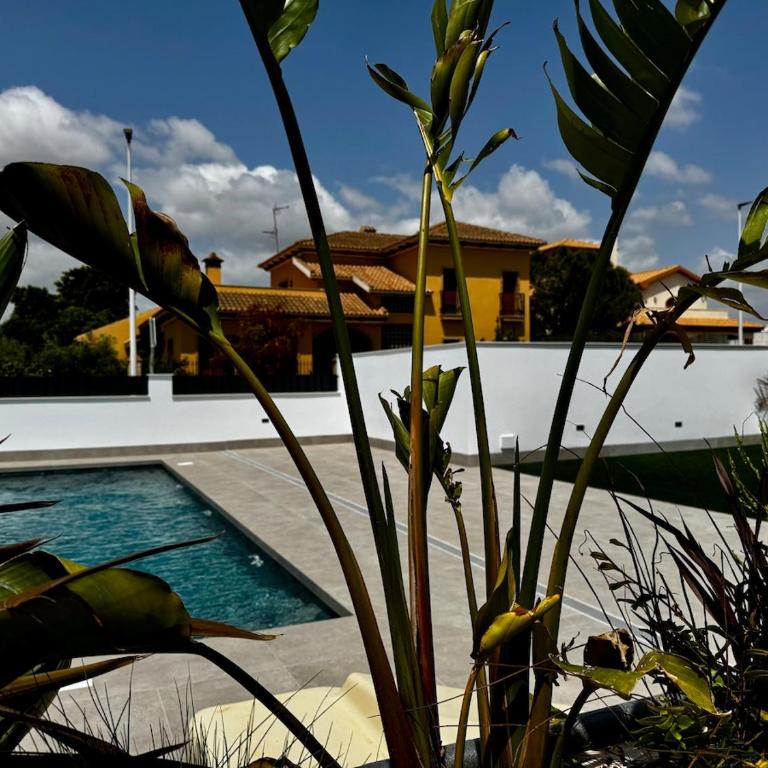 Cofradias Casa Horadada by Zanis - Apartamento de 1 dormitorio - 10