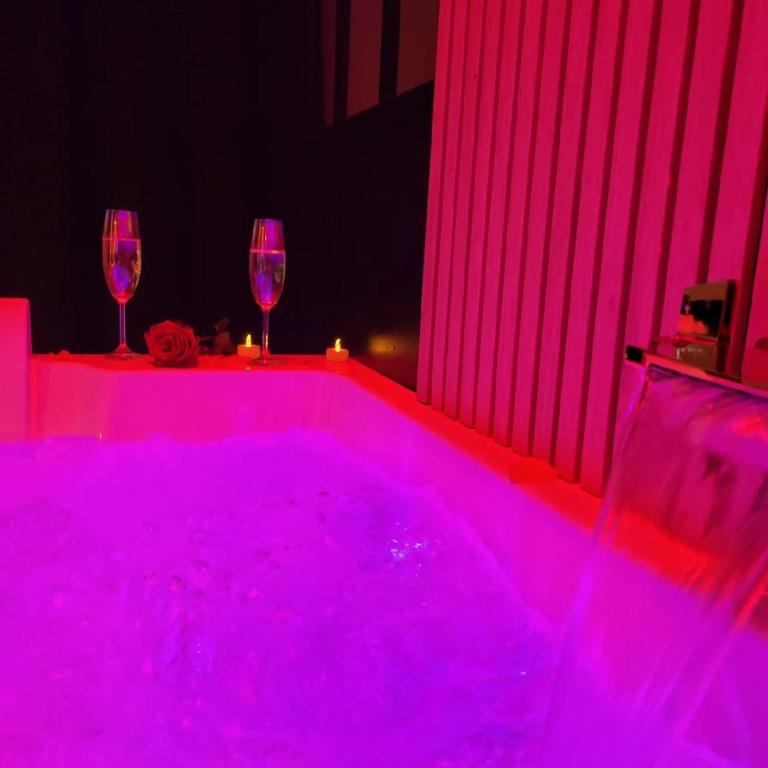 Studio avec jardin privatif et spa - Appartement 1 Chambre - 12