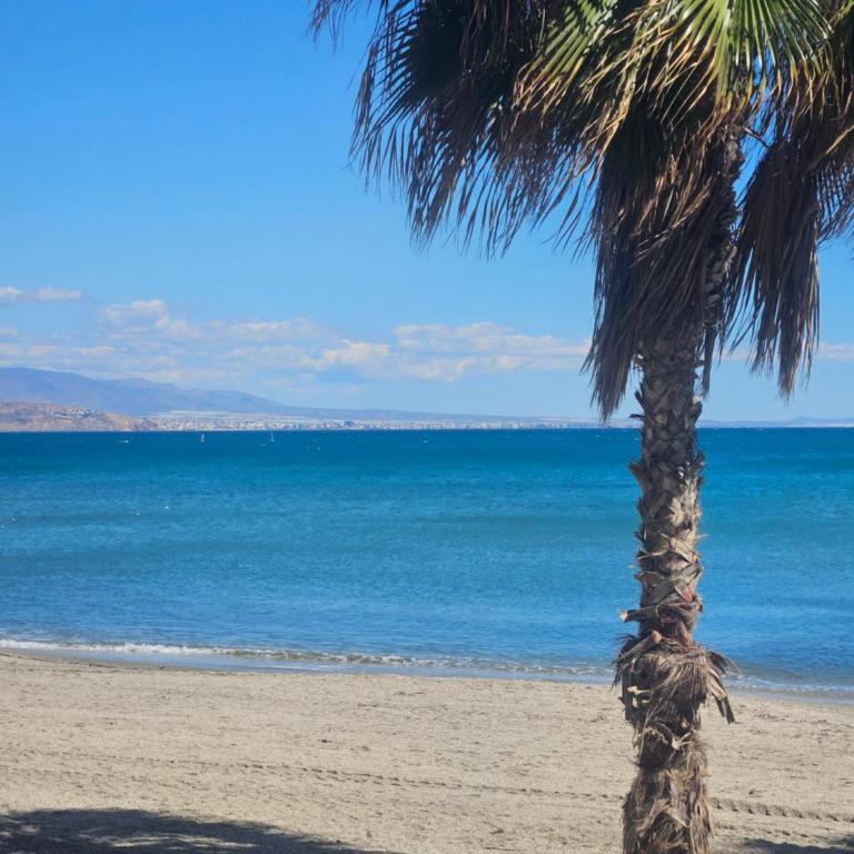 Apartment in Roquetas de Mar, Santa Ana - One-Bedroom Apartment - 15