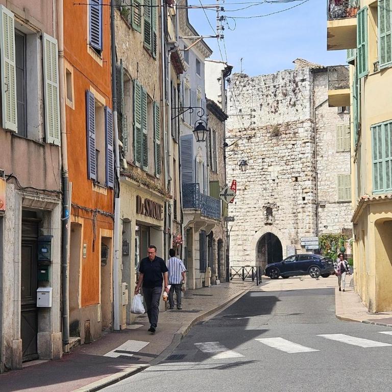 Le petit Matisse au cœur de Vence - Appartement - 35
