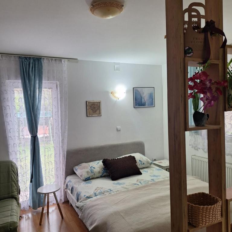 Privatni Smeštaj Tešević - Studio - 3