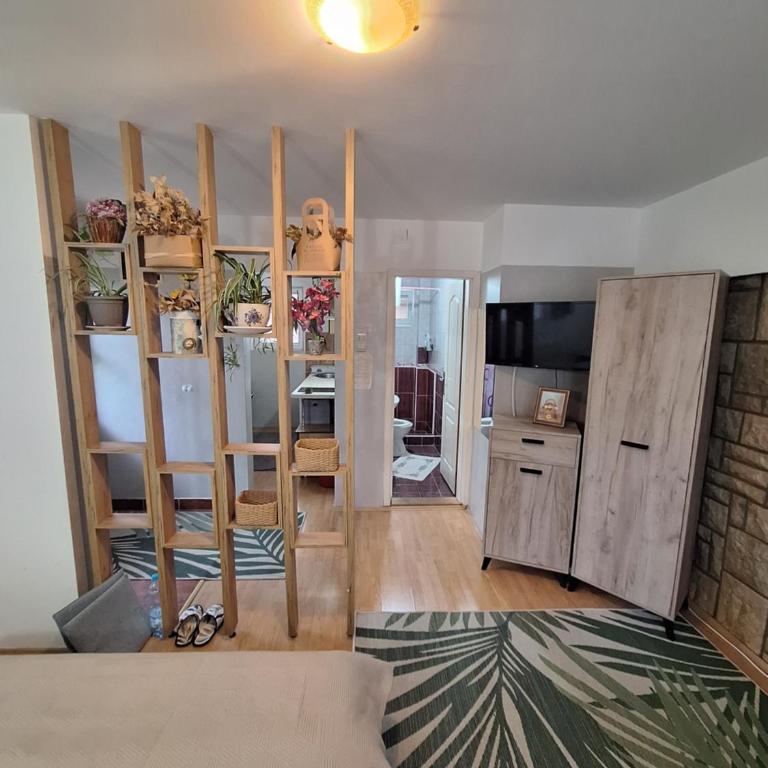 Privatni Smeštaj Tešević - Studio - 5