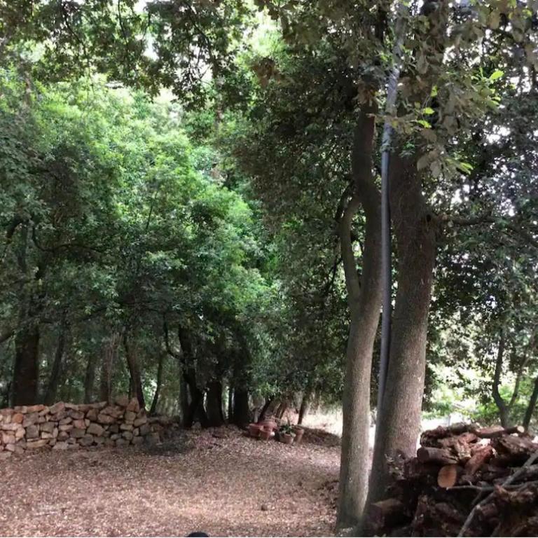 Le Clos - Villa - 7