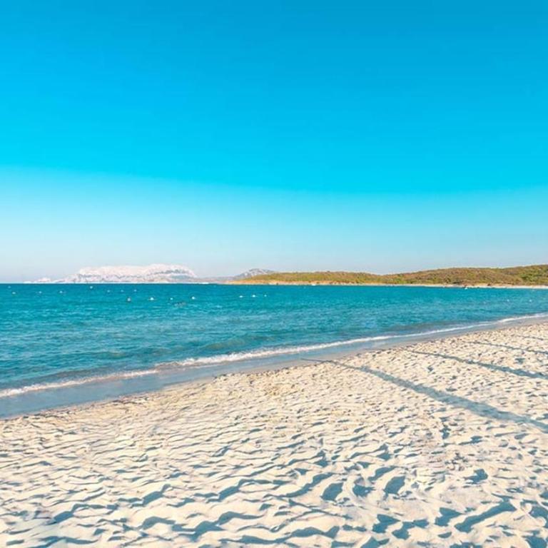 OLBIA-Nuovissimo monolocale centrale e tranquillo - Appartamento con 1 Camera da Letto - 26