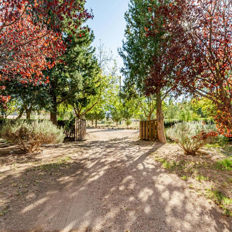 Complejo Ermitazh - Family Bungalow - 4