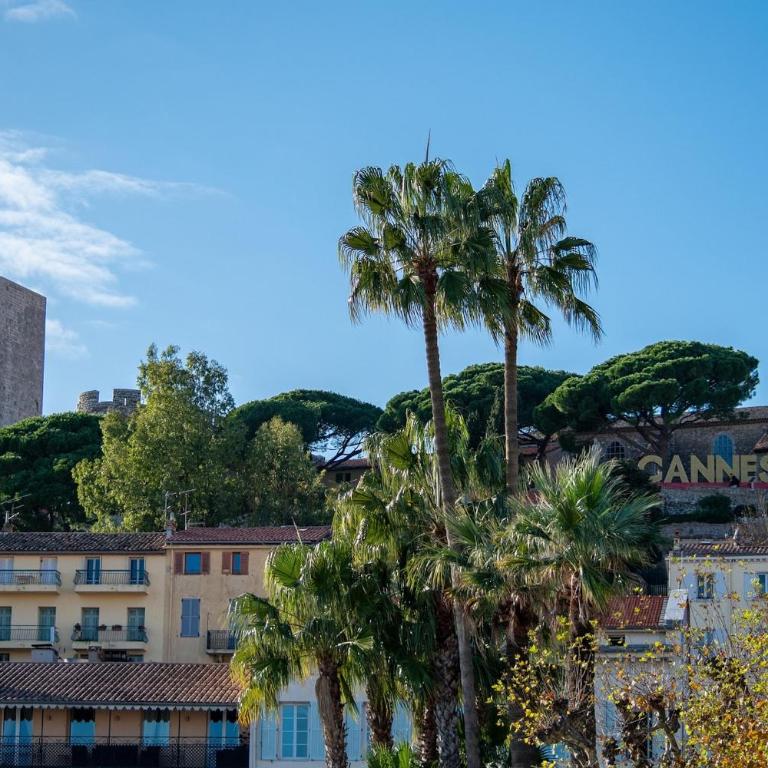 ESCURIAL Bel appart rénové proche Croisette et plage - Appartement - 22
