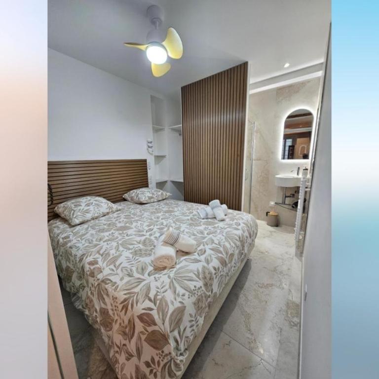L'olivier du vieil Antibes - Appartement 2 Chambres - 2
