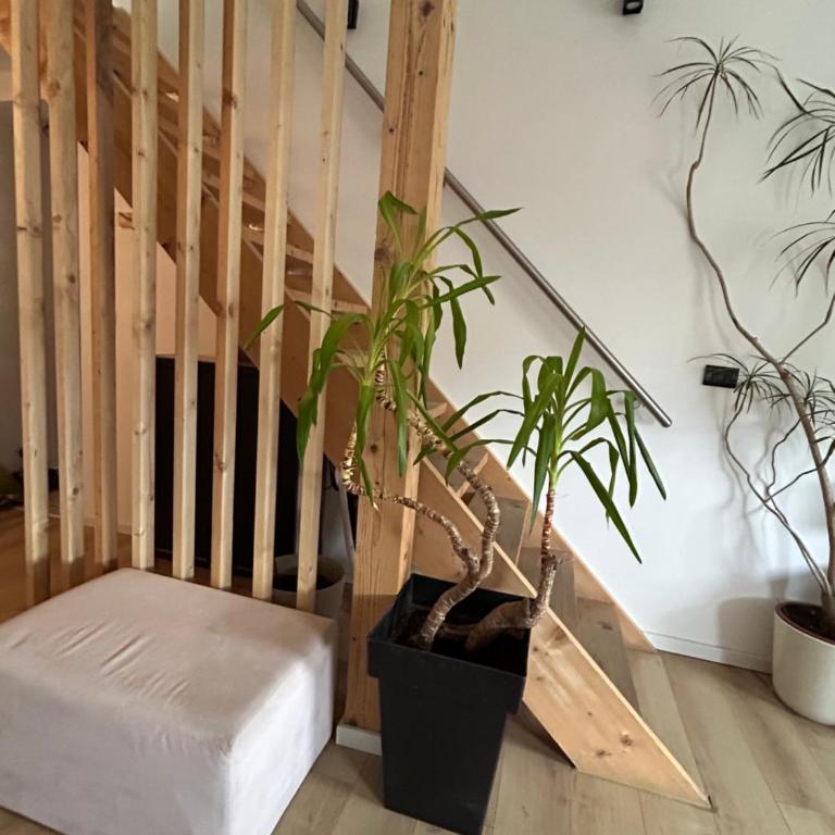Nest ZEN garden - Two-Bedroom Apartment - 27